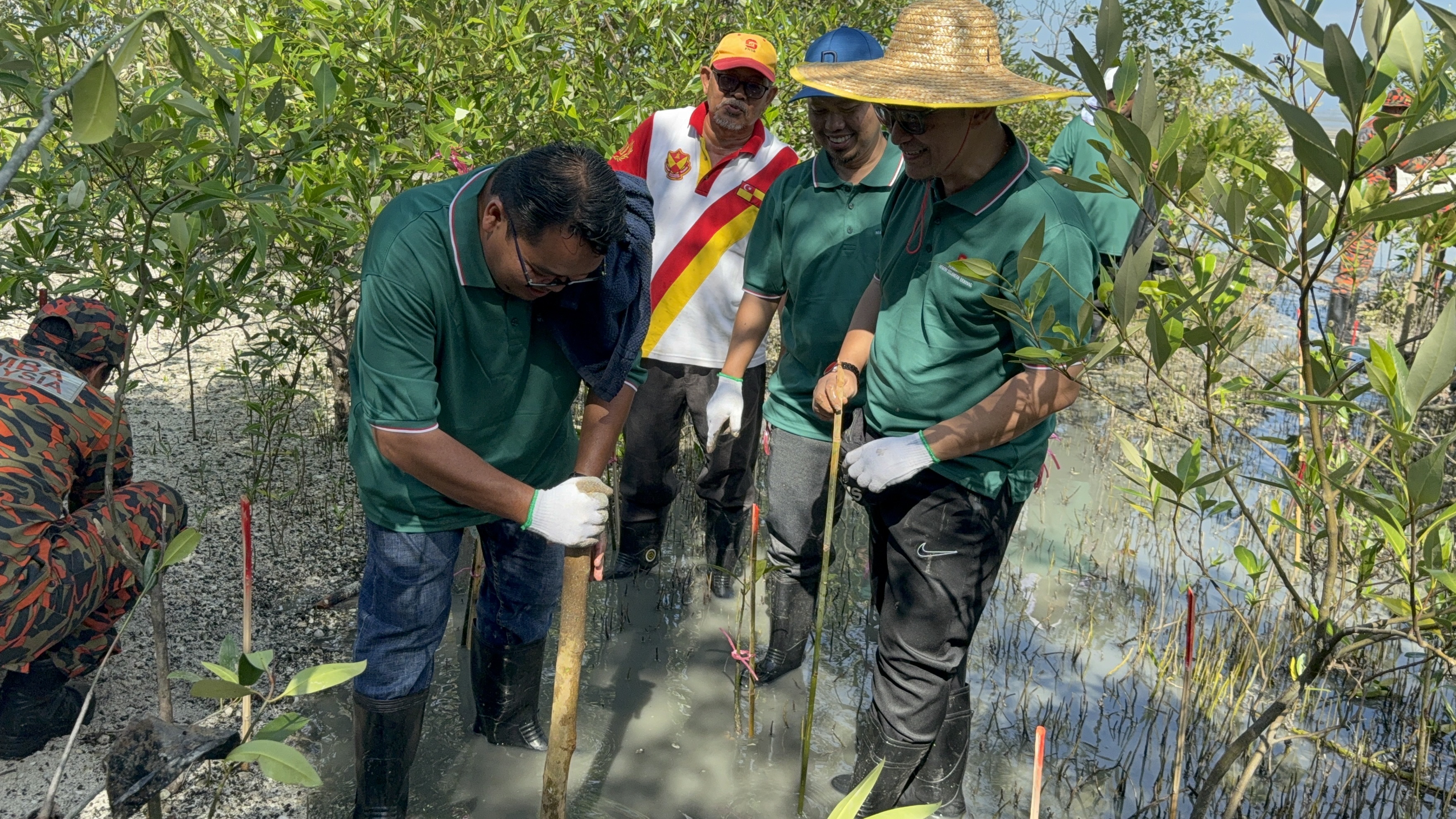 300 anak pokok bakau ditanam, PNSB sokong kelestarian alam