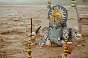 ‘Malaysians in flood-hit areas of India to come home on earliest flights’
