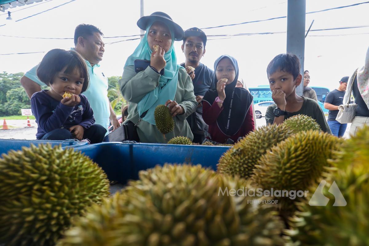 Durian dan strok: mitos atau realiti?