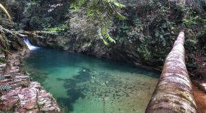 Over 150 detained for trespassing on Ayer Itam Forest Reserve since start of year