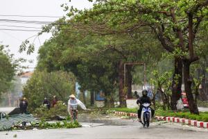 Eight dead, 17 missing as Typhoon Bualoi hits Vietnam