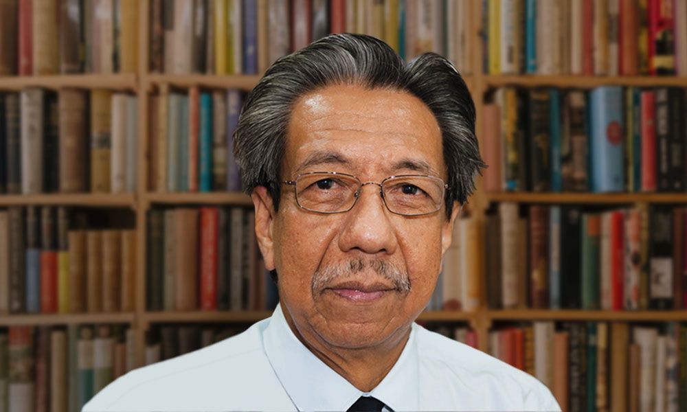 Bahasa Melayu perlu diperkukuh sebagai asas identiti nasional – Prof Teo Kok Seong