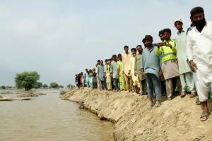Rising flood waters send basmati prices up in India, Pakistan