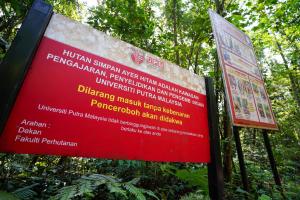 152人擅闯阿依淡森林被捕　森林局：未申请准证属违法