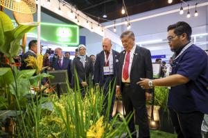 Irrigation must be recognised as critical infrastructure for food security 