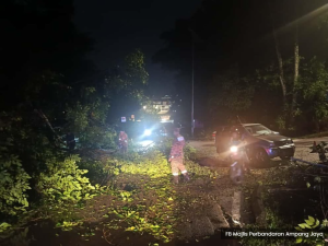 狂风暴雨袭巴生谷 安邦市会接16宗树倒投报