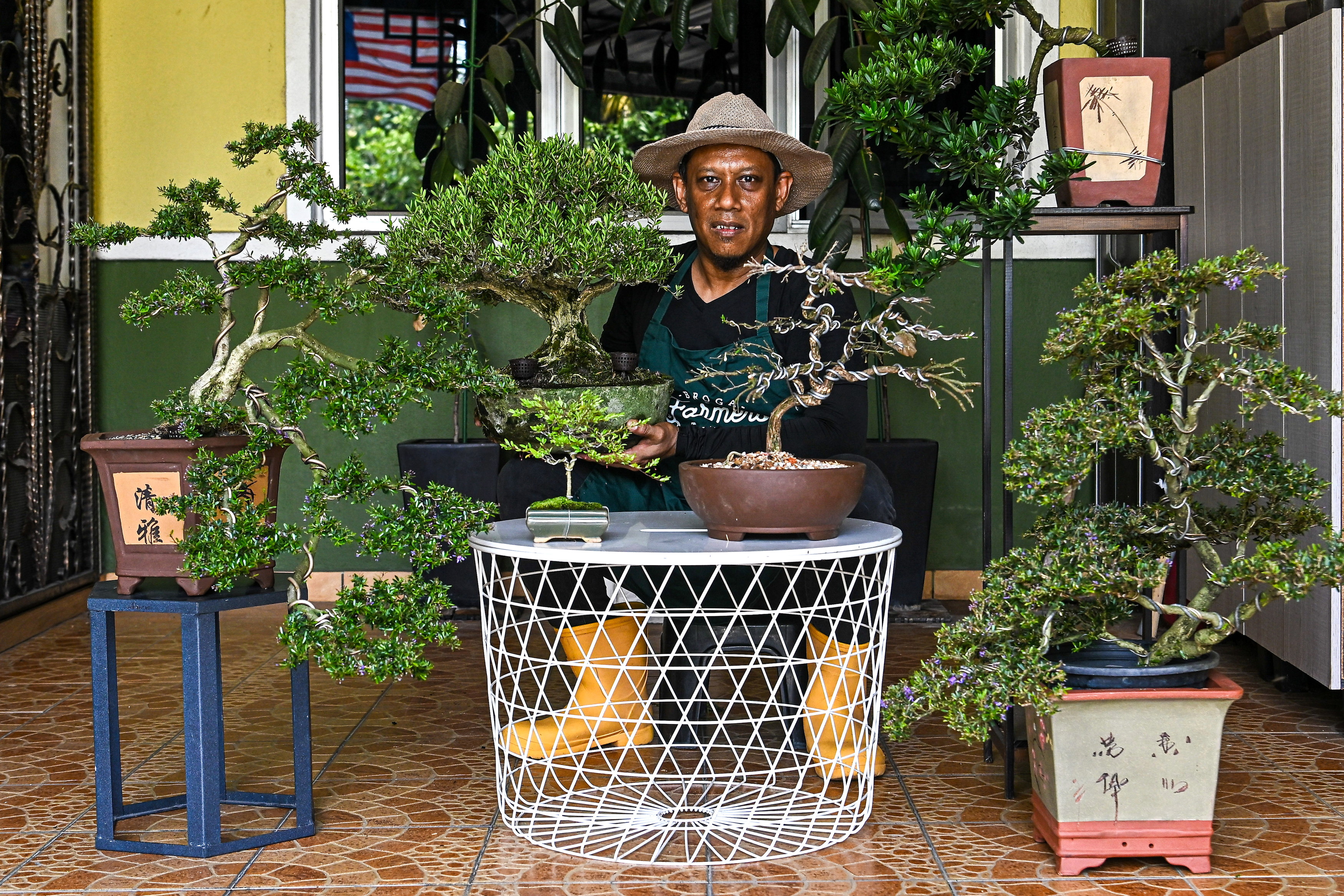 Bermula suka-suka ketika PKP, bonsai kini jadi sumber pendapatan
