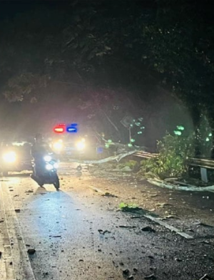 摩托避倒下大树失控   任职王宫警员命丧公路