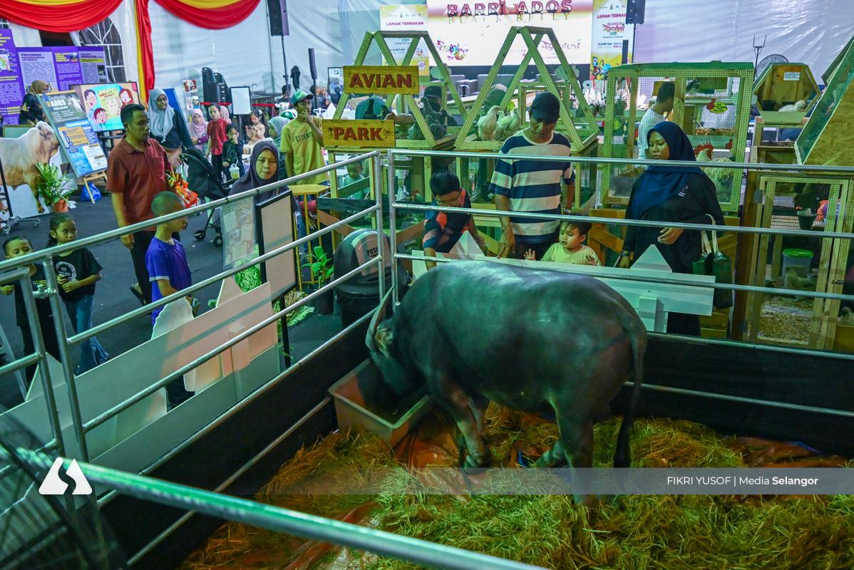 Selangor Agrofest 2025 sasar transaksi RM500,000, tarik puluhan ribu pengunjung