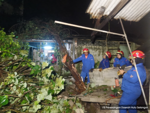 暴风雨袭击新古毛  16民宅受损.14大树倒下