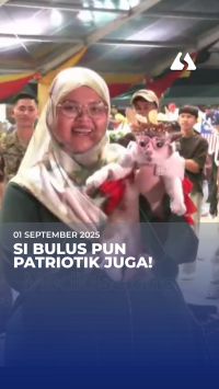 Si bulus pun patriotik juga! Pemilik bawa kucing rai merdeka curi perhatian
