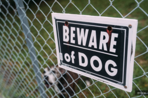 Six-year-old boy injured in dog attack in Cheras