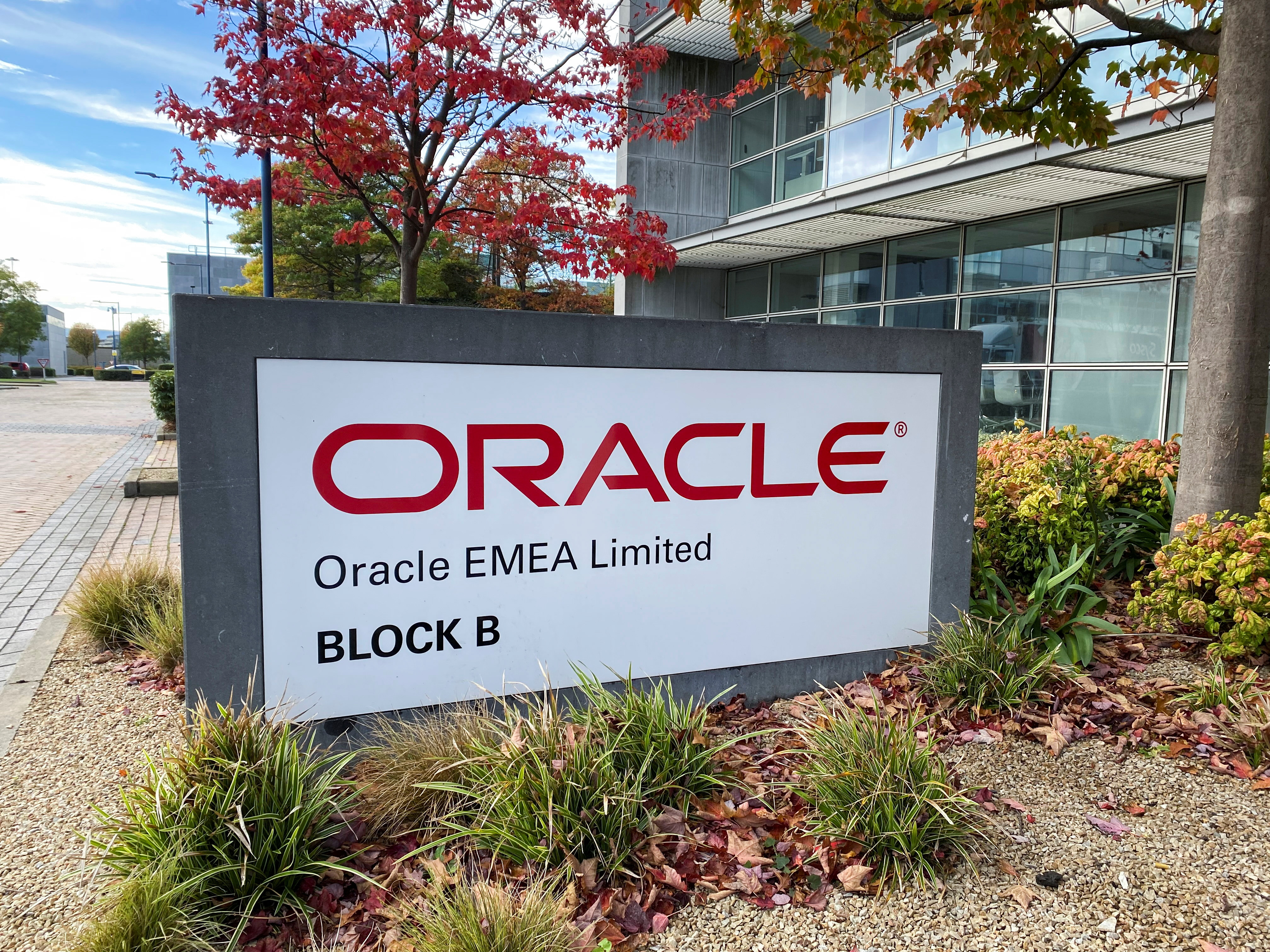 Oracle co-founder Ellison tops Musk as world’s richest person
