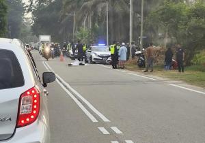 Pekerja pembersihan maut motosikal rempuh kuda melintas