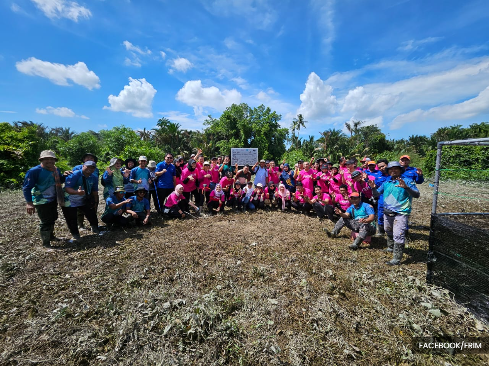 AEON, FRIM plant trees to restore firefly habitat in Kuala Selangor