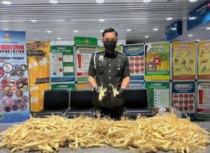 非法携带30公斤人参根入境  42岁本地男子被捕