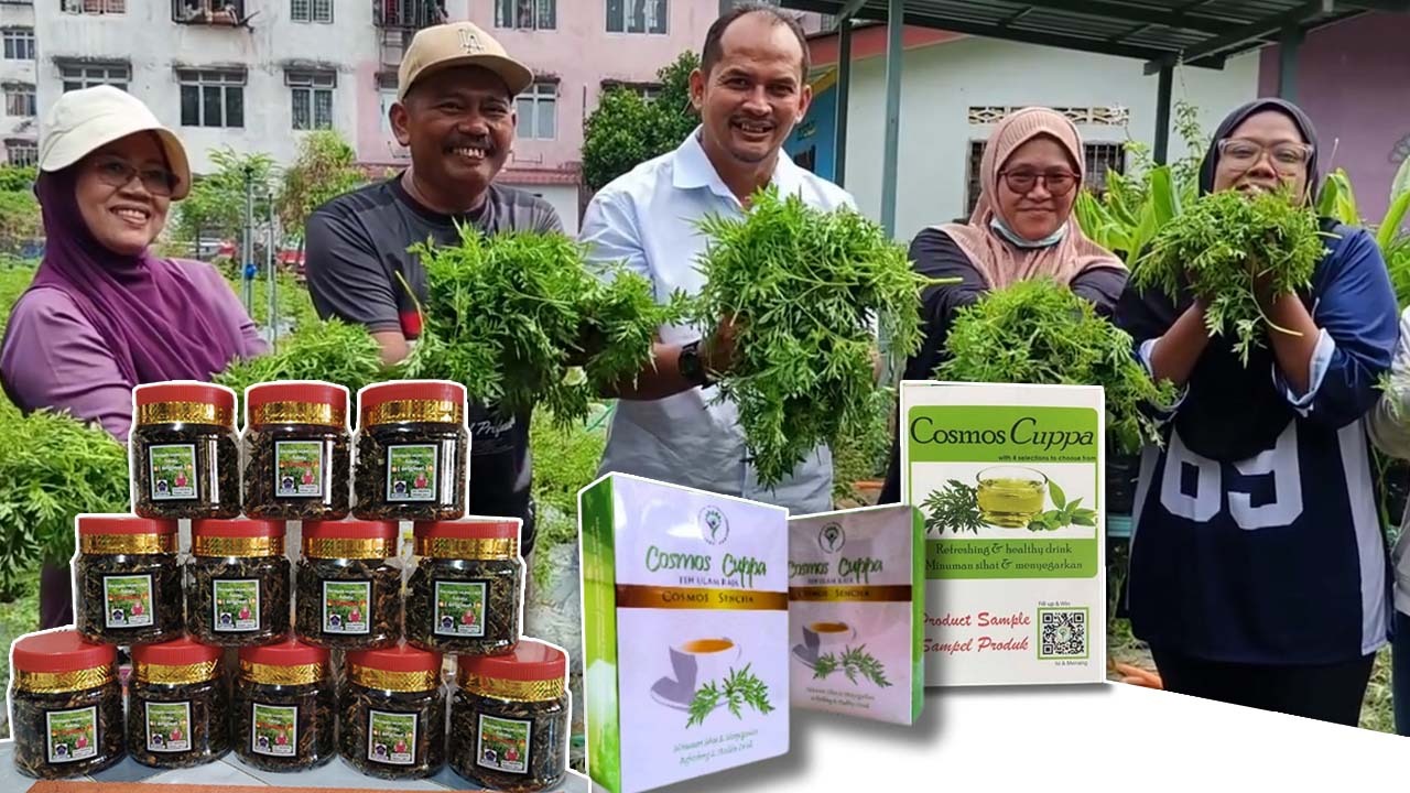 Kerjasama komuniti, UPM komersialkan ulam raja sebagai produk kesihatan dan kecantikan
