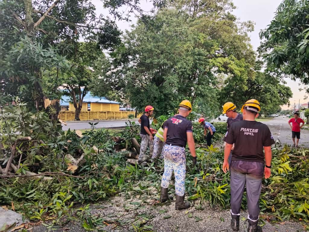 仁嘉隆风灾致6道路封闭   瓜冷快速队连夜清理恢复通车