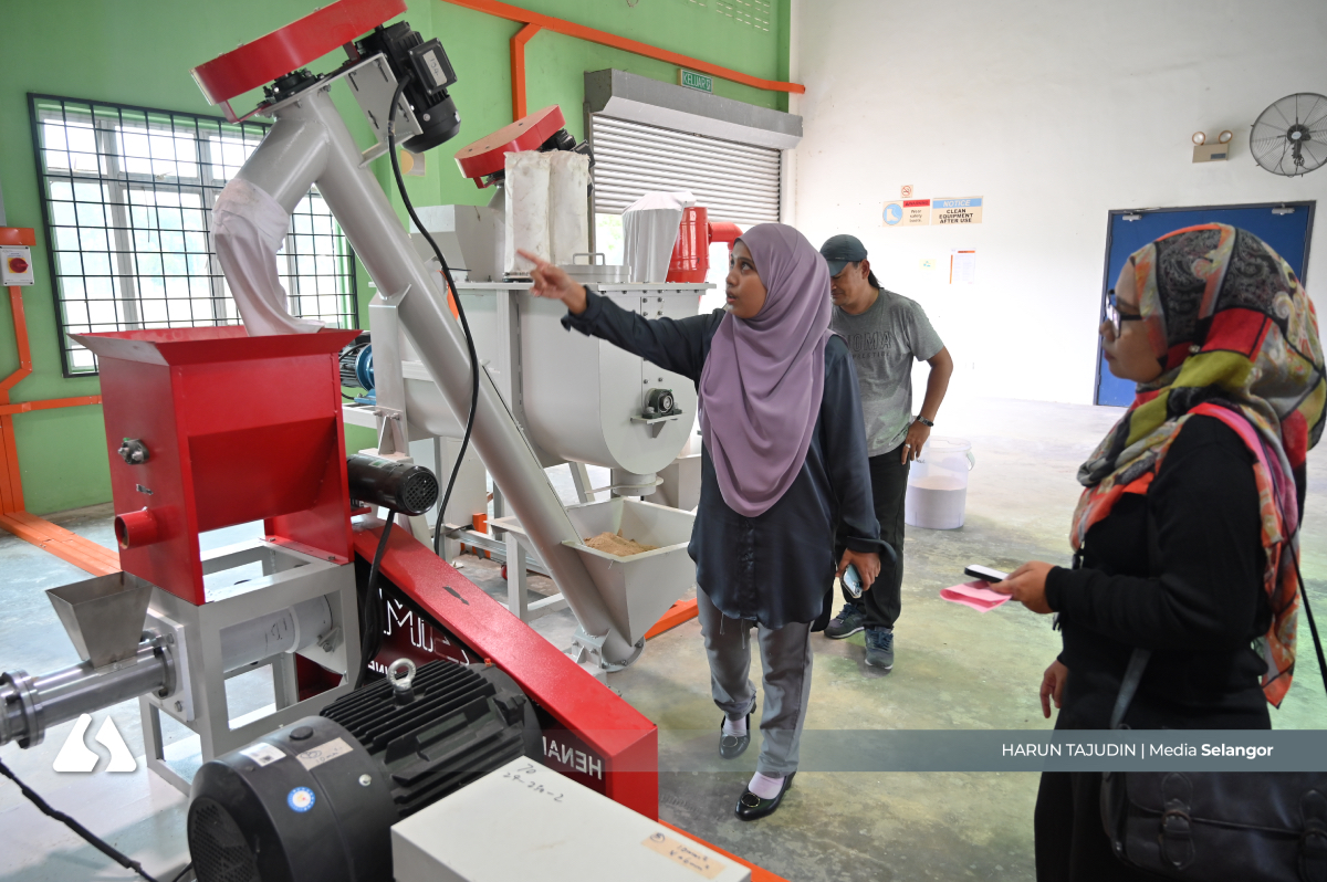 Unisel temui 'kelebihan' ikan bandaraya