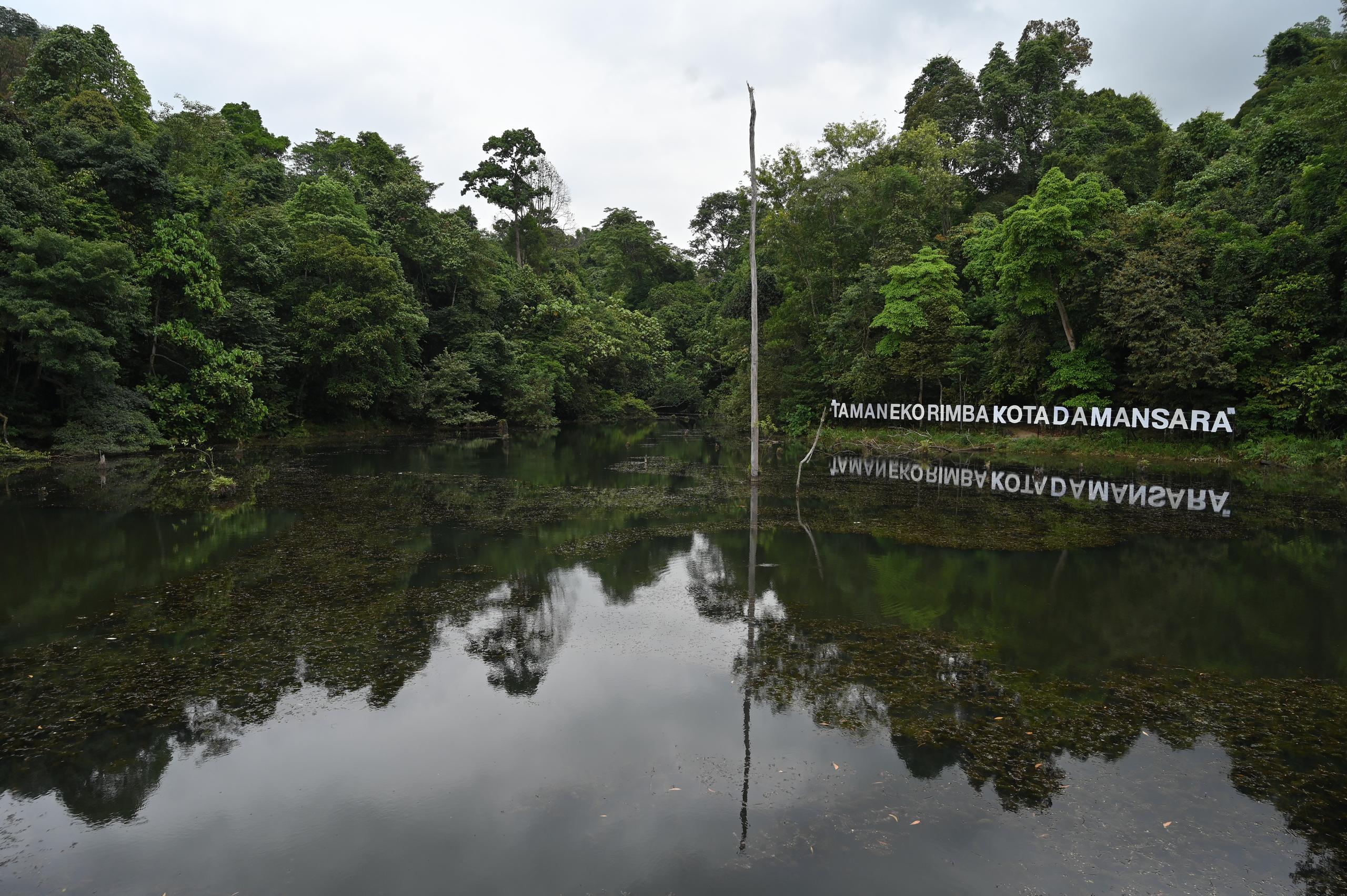 Cuti singkat tak perlu jauh, Kota Damansara tawar pelbagai aktiviti menarik