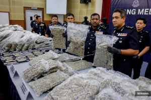 Police bust drug ring with nearly RM6m of cannabis buds bound for Europe