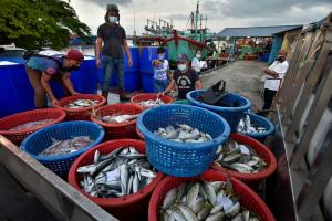 Musim tengkujuh: Bekalan ikan di negeri Pantai Timur tidak terjejas
