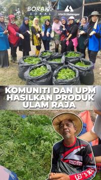 Komuniti Siantan bersama UPM hasilkan produk inovatif dari Ulam Raja