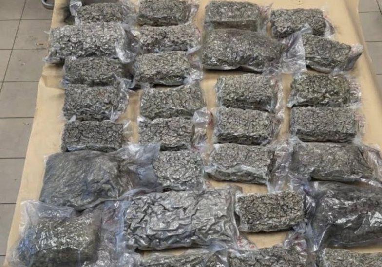 利用公寓停车场贩毒  警捕一对男女·起获18.5公斤大麻花