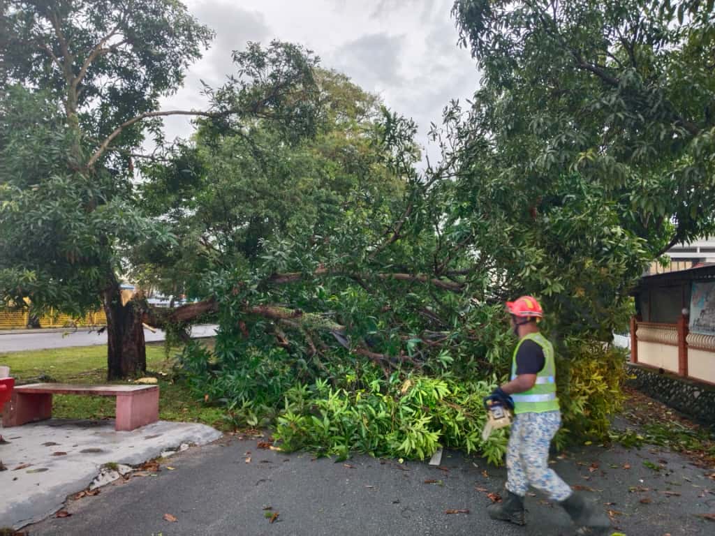 仁嘉隆风灾致6道路封闭   瓜冷快速队连夜清理恢复通车