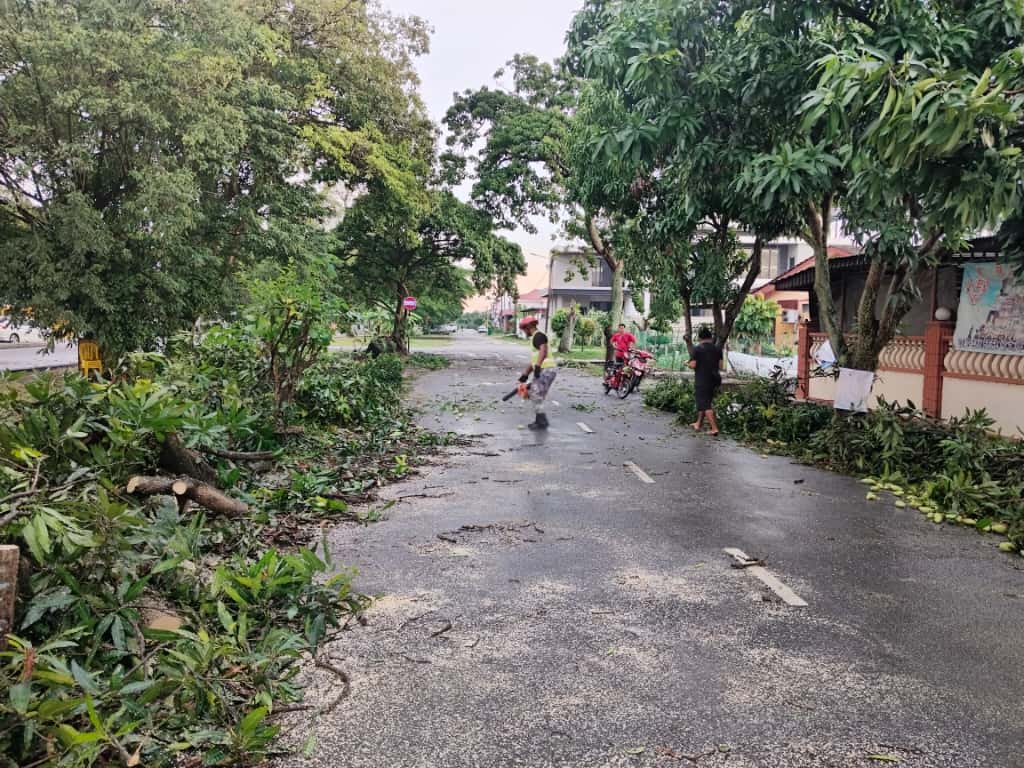 仁嘉隆风灾致6道路封闭   瓜冷快速队连夜清理恢复通车