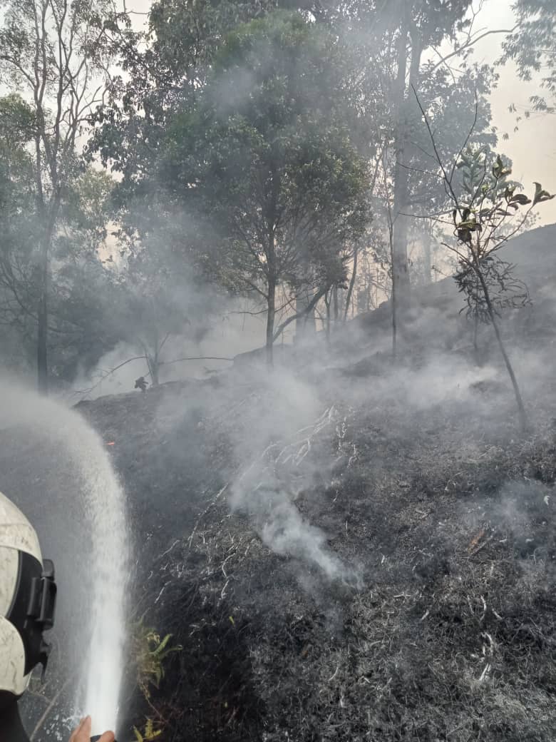 தாமான் பெர்டானா ஹைட்ஸில் காட்டுத் தீ!