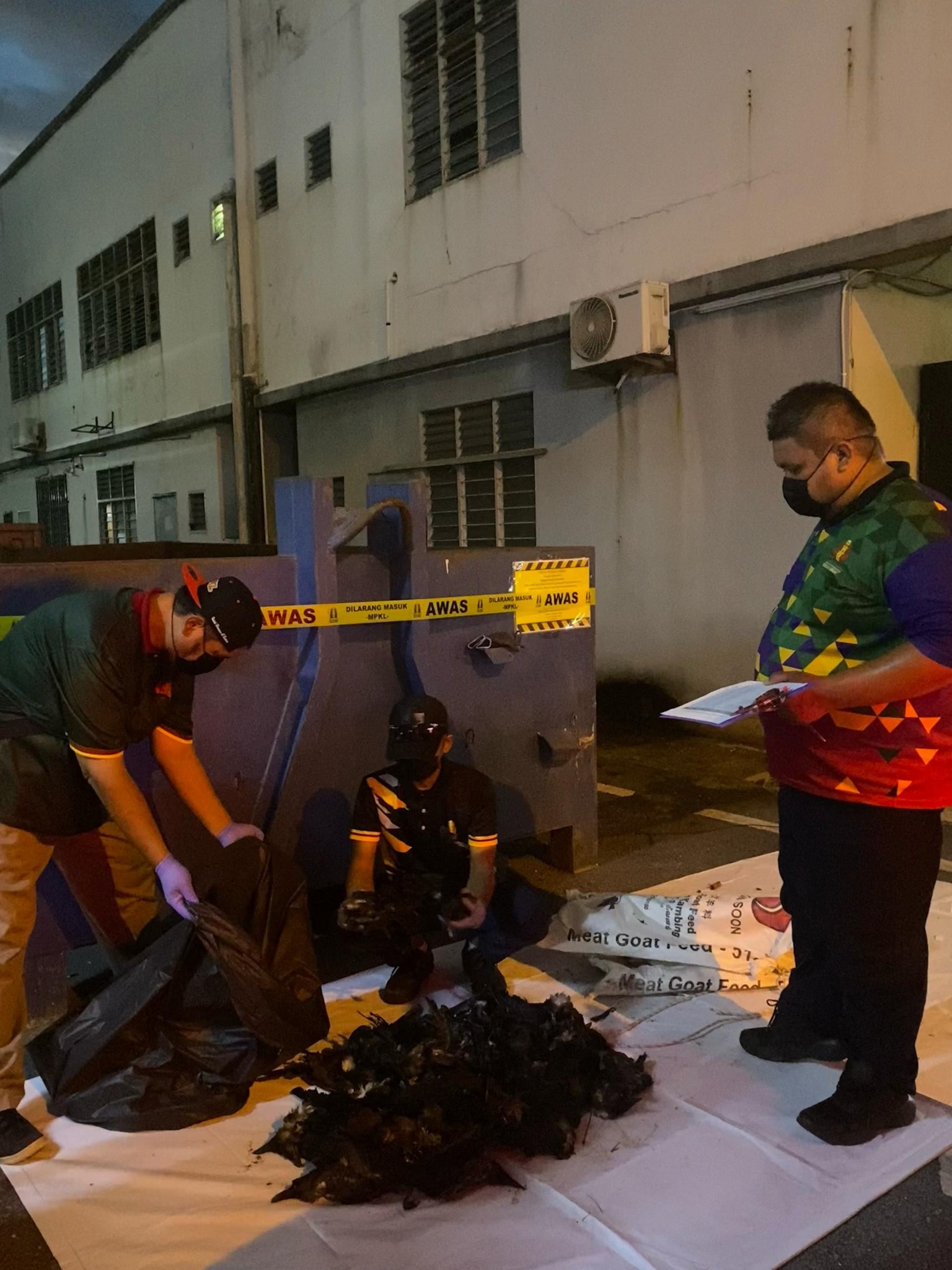 972 burung gagak ditembak dalam operasi kawalan MPKL