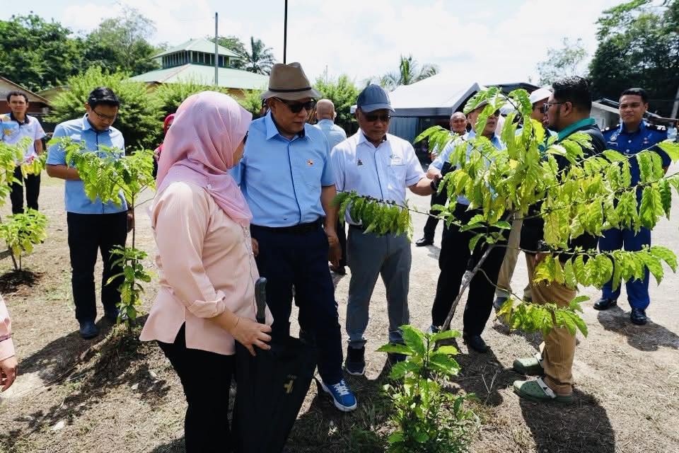 雪政府续强化PeTA  打造农业旅游催化地方经济