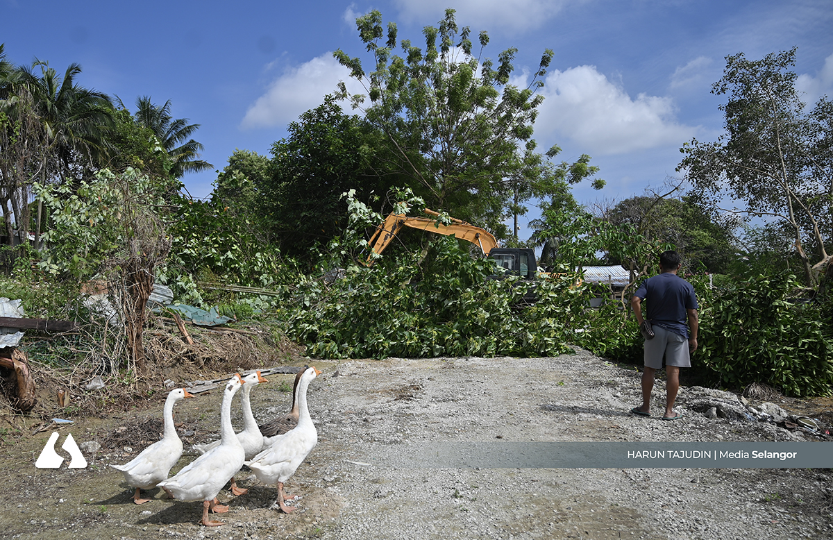 JPNS roboh infrastruktur haram di Hutan Simpan Sungai Buloh