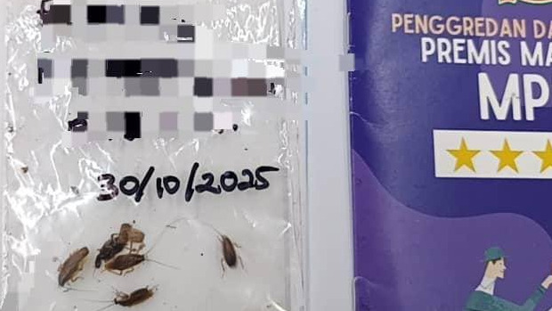 食肆卫生欠佳勒令停业 乌雪市会开4罚单