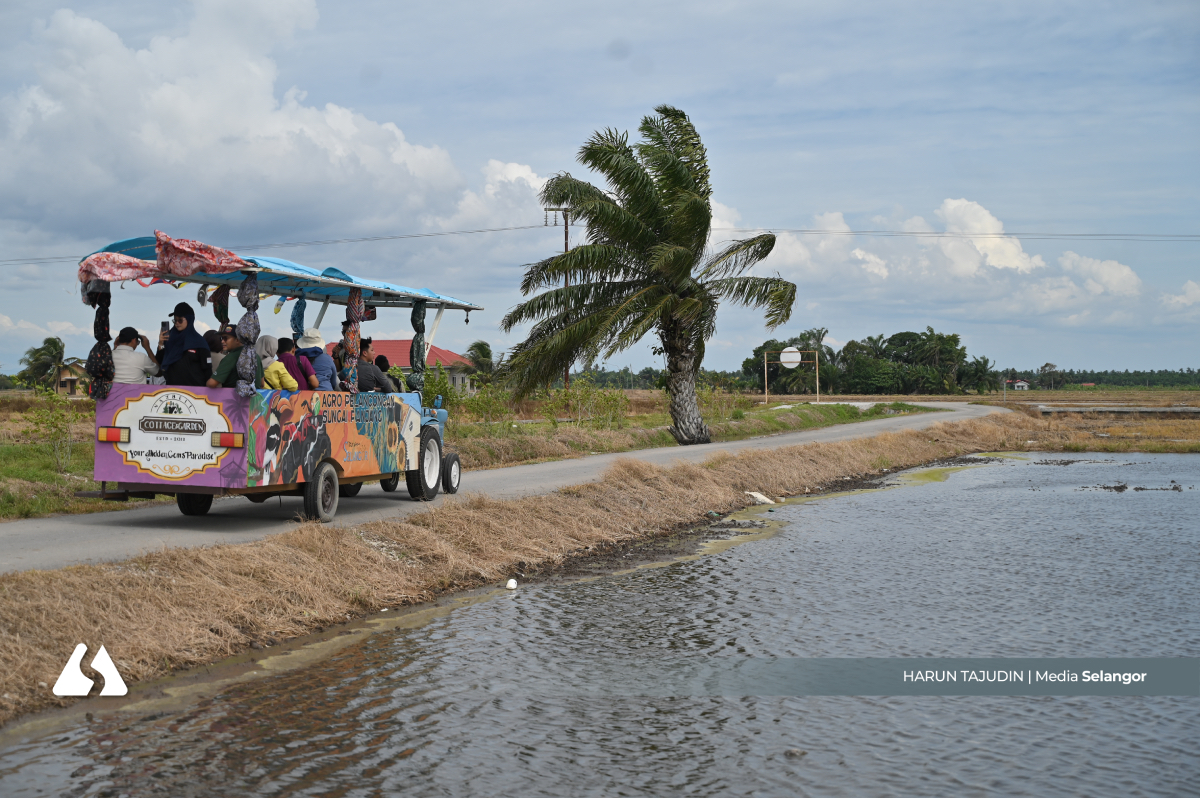 Village charm, traditional culture boost rural tourism, uplift local economy