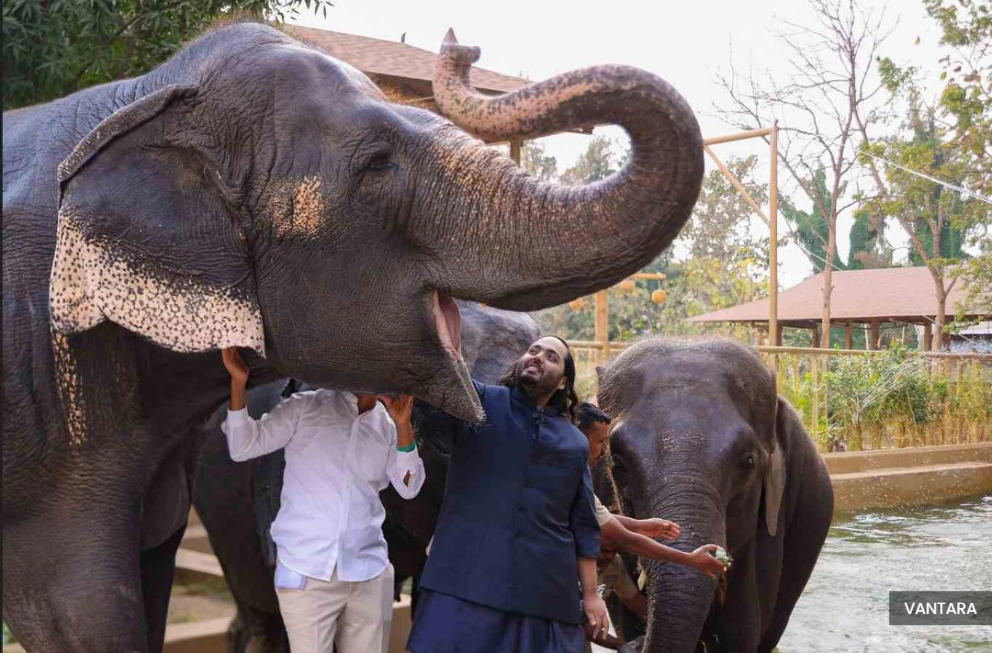 India asks UN wildlife body to not curb its animal imports amid Ambani zoo furore