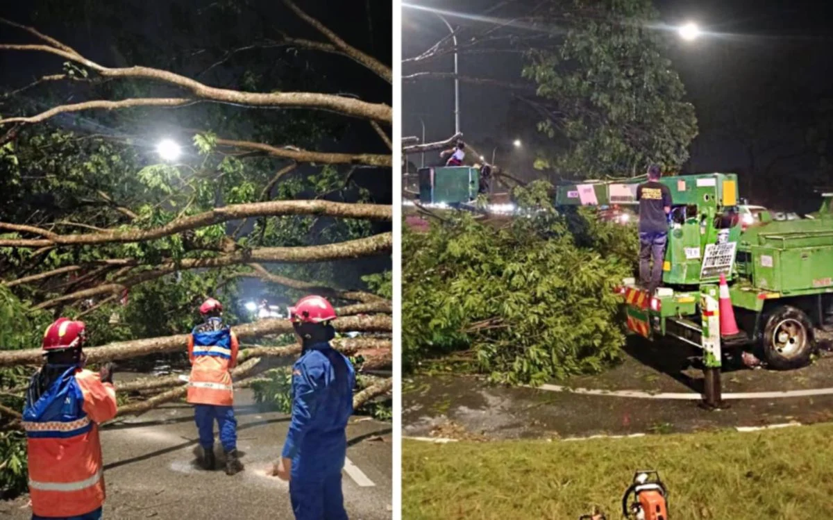 暴风雨昨晚席卷关丹 60房屋受损.13大树倒下
