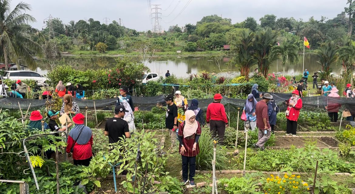 MBSA tawar insentif, galak penduduk mohon TOL buka kebun komuniti