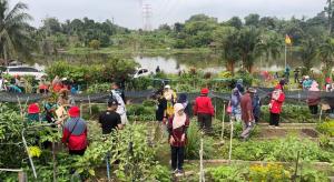 எம்.பி.எஸ்.ஏ -சமூகத் தோட்டம் தொடங்க TOL விண்ணப்பிக்க குடியிருப்பவர்களை ஊக்குவிப்பு 