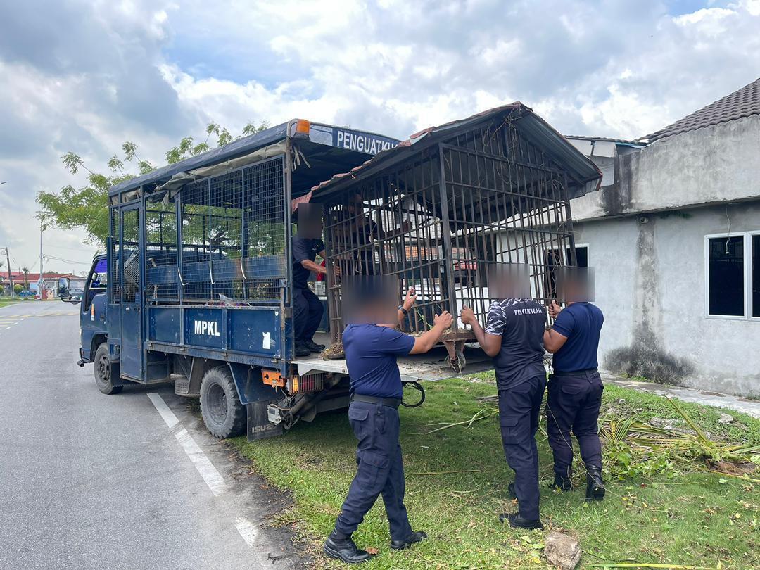 柏威拉花园秋千狗笼占地 瓜冷市会依法移除
