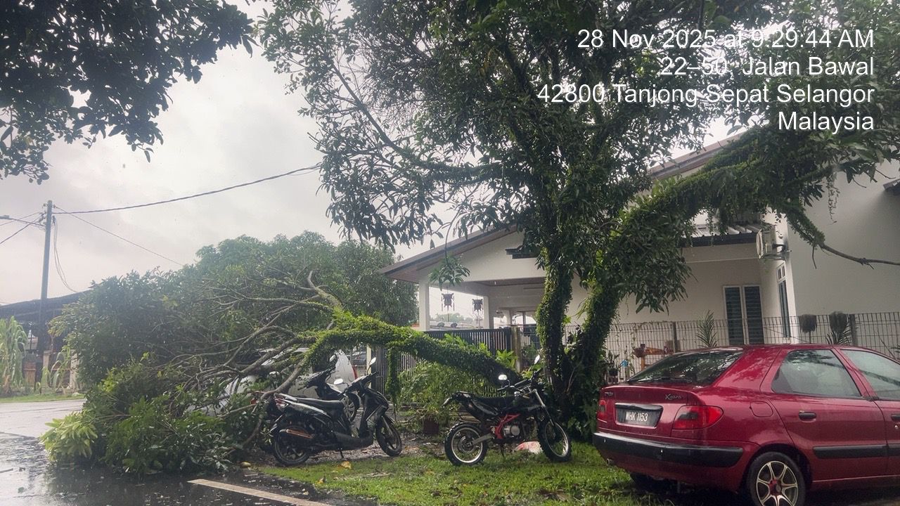 长命雨与“Senyar”夹击致水灾树倒  瓜冷风向不断转动极为异常！