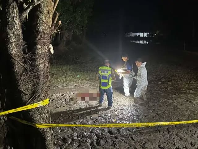 【砍姐夫案】嫌犯拒吃药治疗 近日出现幻听抑郁症状