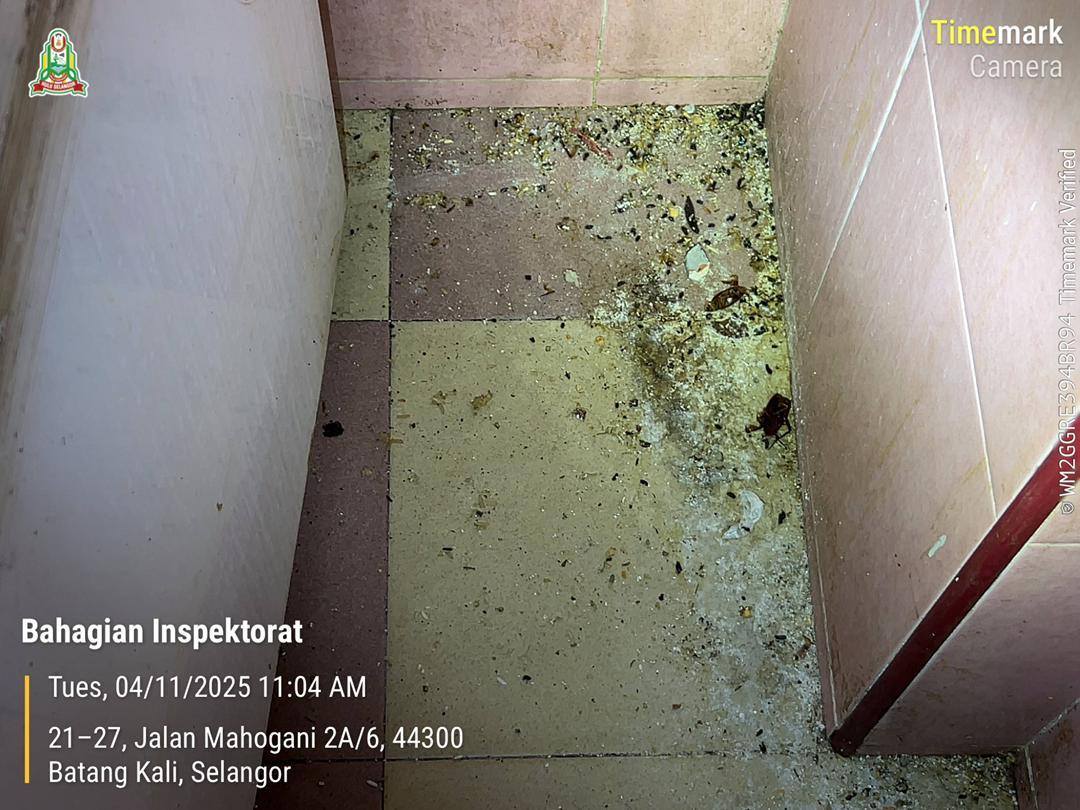 Dapur kotor, najis tikus dan lipas, premis makanan di Batang Kali diarah tutup