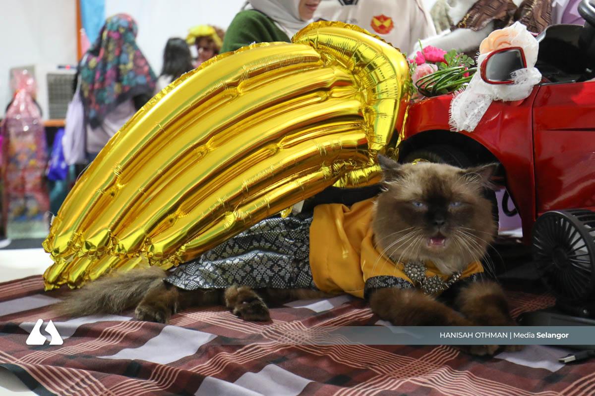 Kristoff juara Meowdel Si Comel, kostum buatan tangan curi perhatian