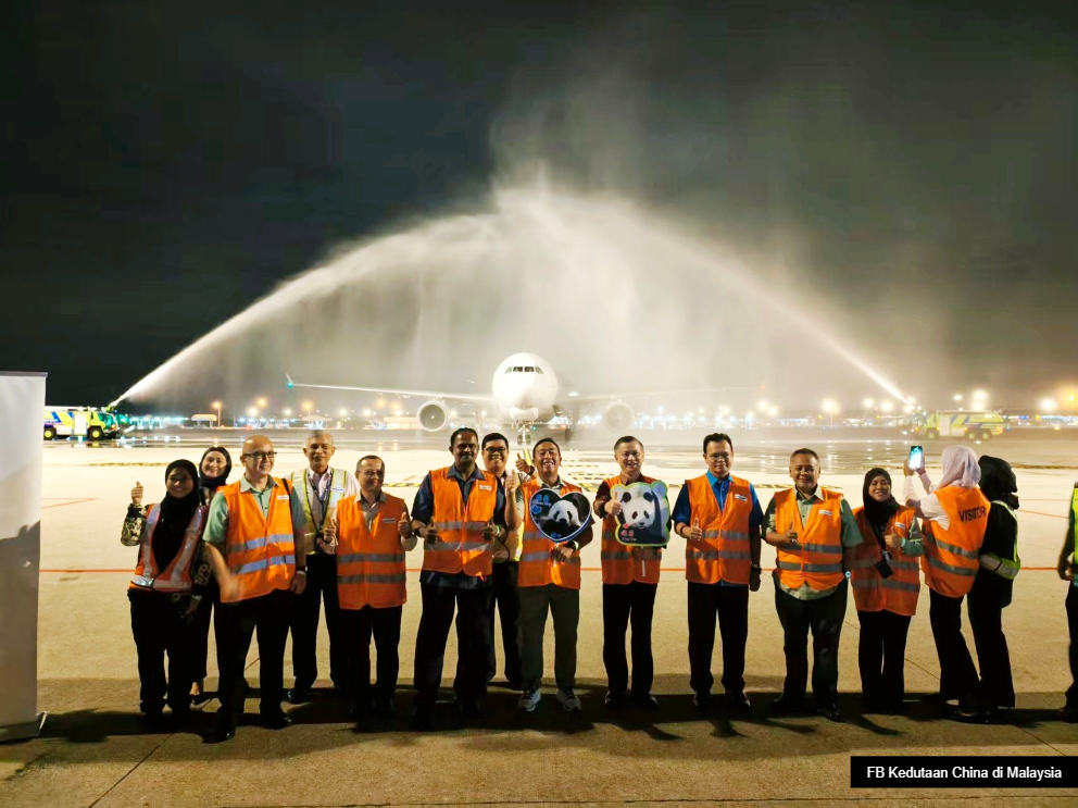 熊猫“辰星”“晓月”抵马展开隔离检疫   范长锡：先适应环境暂不亮相