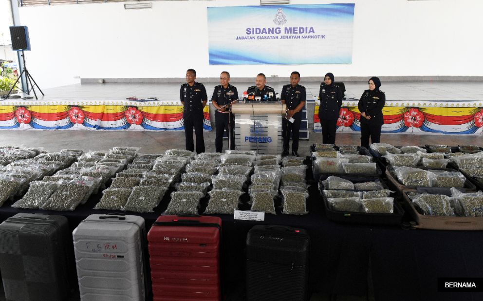 瓦解市值867万大麻花贩毒集团 警捕8人包括夫妻主谋