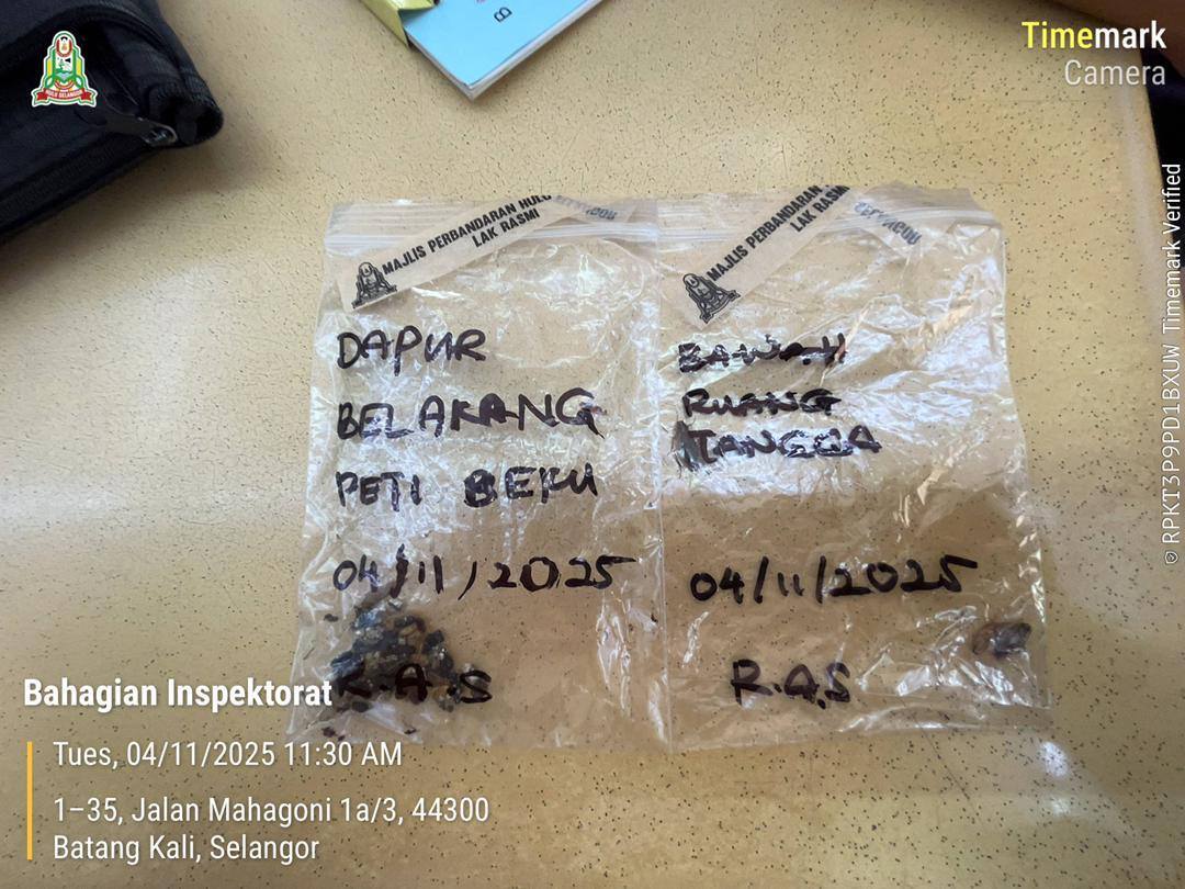 Dapur kotor, najis tikus dan lipas, premis makanan di Batang Kali diarah tutup