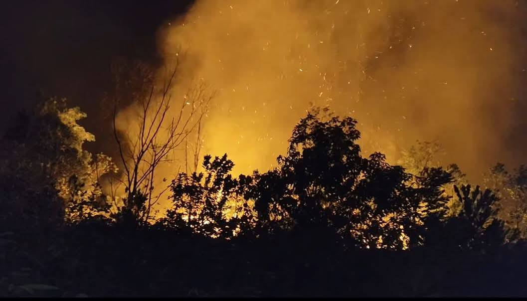 沙叻丁宜林火凌晨扑灭   消拯局:疑露天焚烧引发