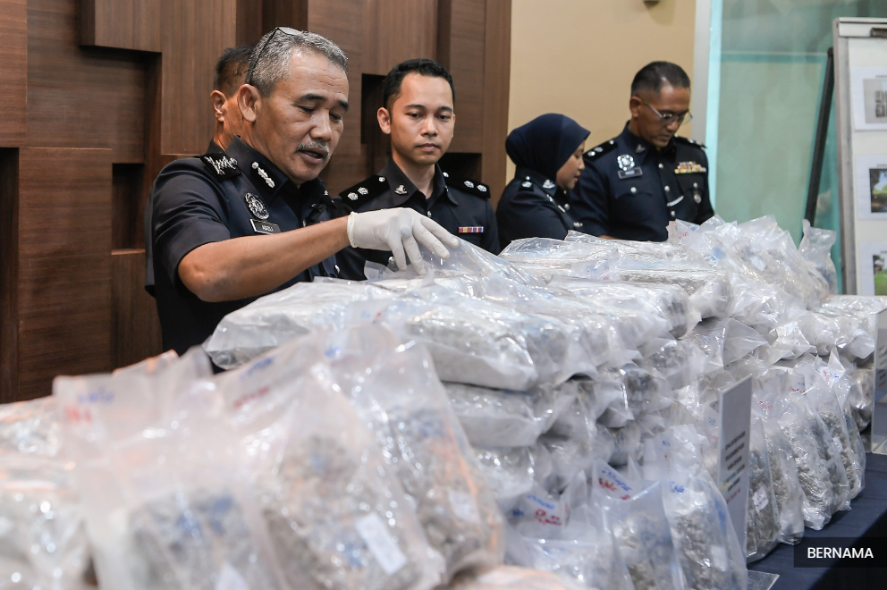 Kedah cops score major drug bust, seize cannabis worth RM4m 